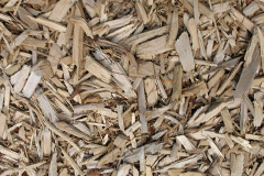 biomass boilers Deuchar